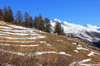 Champlas Janvier (To) - dicembre 2011