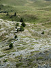 Monti della Luna, Cesana Torinese (To) - agosto 2011