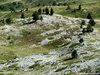 Monti della Luna, Cesana Torinese (To) - agosto 2011