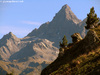 Pic de Rochebrune, mt. 3320 - agosto 2011