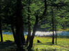 Lago Foiron, Cesana Torinese (To) - agosto 2011