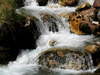 Torrent de la VallÃ©e Ã‰troite (France) - agosto 2011