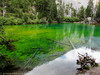 Lago Verde - Valle Stretta (France) - agosto 2011