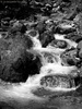 Torrent de la VallÃ©e Ã‰troite (France) - agosto 2011