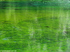Lago Verde - Valle Stretta (France) - agosto 2011