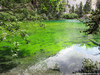Lago Verde - Valle Stretta (France) - agosto 2011