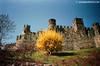 Castello di Fenis (Ao) - aprile 2007