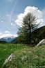 Planaval - La Salle (Ao) - giugno 2006