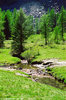Valnontey - Cogne (Ao) - giugno 2006