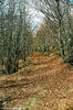 Santo Stefano d'Aveto (Ge) - aprile 2006