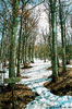 Santo Stefano d'Aveto (Ge) - aprile 2006