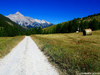 Valle del Thures (To) - agosto 2010