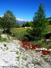 Sorgente acqua ferruginosa, Ruilles (To) - agosto 2010