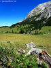 Valle del Thures (To) - agosto 2010