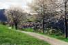 Moerna (Bs) - maggio 2008