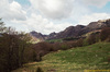 Lungo il sentiero per il Monte Caplone (Bs) - maggio 2008