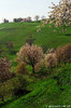 Moerna (Bs) - maggio 2008