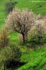 Moerna (Bs) - maggio 2008